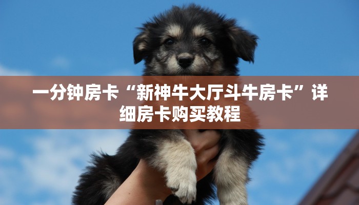 一分钟房卡“新神牛大厅斗牛房卡”详细房卡购买教程 一分钟房卡“新神牛大厅斗牛房卡”详细房卡购买教程