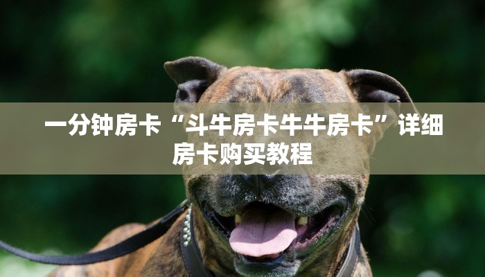 一分钟房卡“斗牛房卡牛牛房卡”详细房卡购买教程 一分钟房卡“斗牛房卡牛牛房卡”详细房卡购买教程