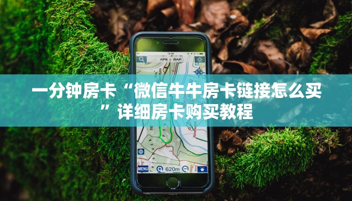 一分钟房卡“微信牛牛房卡链接怎么买”详细房卡购买教程 一分钟房卡“微信牛牛房卡链接怎么买”详细房卡购买教程